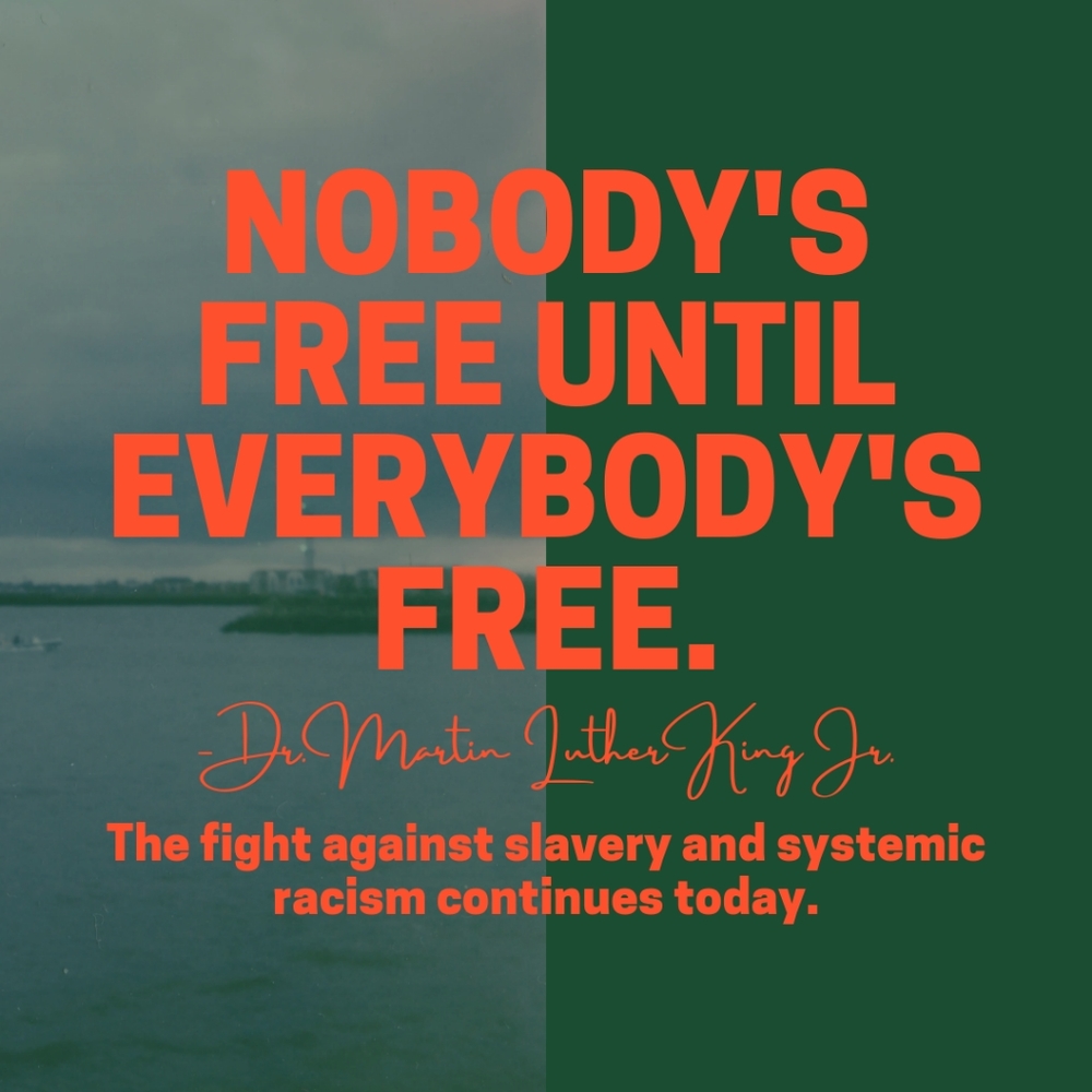 Independence Day - image 1